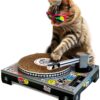 Suck UK Cat Scratcher ; Dj Cat Scratch Turntable ; Cardboard Cat House ; Cat Scratch Pad ; Cat Scratcher House & Cat Playhouse ; Novelty Interactive Cat Toys For Indoor Cats ; Funny Cat Accessories 53 71vKyeEbuL