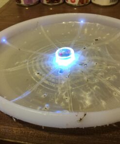 Nite Ize Flashflight LED Light Up Flying Disc Replaceable Batteries Disc-o 40 71vLy1zDSXL