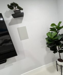 Artificial Japanese Cedar Bonsai Tree 9 inch Tall 29 71vRh eihL