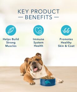 Blue Buffalo Basics Skin & Stomach Care, Natural Adult Dry Dog Food, Salmon & Potato 24-lb 24 Pound (Pack of 1) 25 71vU2vheC1L 1