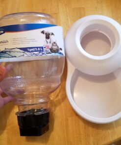 Petmate Replendish Automatic Gravity Waterer for Cats and Dogs, BPA-Free, No Batteries Required, Includes Charcoal Filter, 1 Gallon, Made in USA Silver 1 GAL 42 71vUdbMkEL