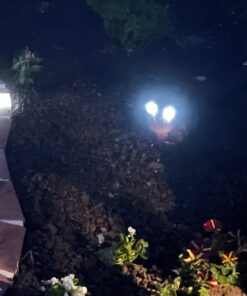 Smarty Gadgets - Metal Garden Art Decoration, Steel Red Ant Figurine with Solar Powered LED Lights for Yard, Patio, Lawn and Garden Decor and Ornament, Outdoor and Indoor Statue, 11" X 10" 33 71vV0XMLQ3L