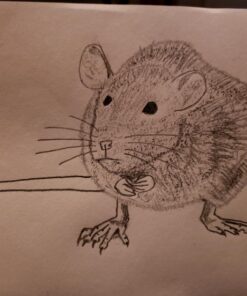 Norberg & Linden Drawing Set - Sketching and Charcoal Pencils - 100 Page Drawing Pad, Kneaded Eraser. Art Kit and Supplies for Kids, Teens and Adults 34 71vWNVy3AL