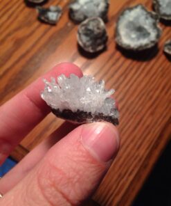 Break Your Own Geodes 40 71va x97ulL