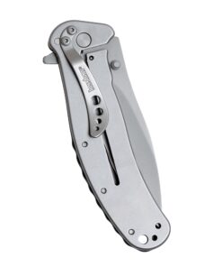 Kershaw Zing SS Pocketknife, 3" 8Cr13MoV Stainless Steel Blade, Assisted Thumb-Stud and Flipper Opening EDC 39 71vdGo3MWHL