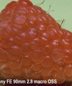 Oshiro 60mm f/2.8 2:1 LD UNC Manual Ultra-Macro Lens Compatible with Sony E-Mount a9, a7r, a7s, a7, a6600, a6500, a6400, a6300, a6000, a5100, a5000, a3500, a3000 Mirrorless Cameras (EOS-E) 74 71vfzymcA1L