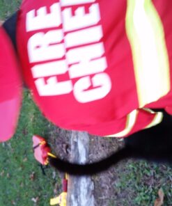 Melissa & Doug Fire Chief Role Play Costume Dress-Up Set (6 pcs) Standard Packaging 40 71vgPT664VL 2