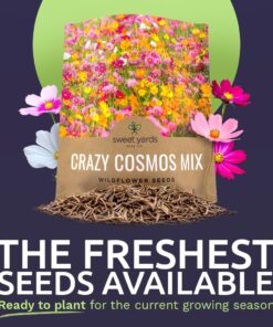 Alternative view of Cosmos Seeds Wildflower Mixture - Bulk 1 Ounce Packet - Over 5,000 Seeds - Pink, Yellow, Orange, Red, Purple and White Mixed Species! 1 Ounce Pouch