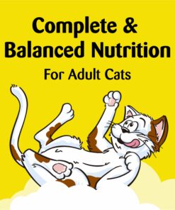 TEMPTATIONS MIXUPS Crunchy and Soft Cat Treats Catnip Fever Flavor, 16 oz. Tub 16 Ounce (Pack of 1) 31 71vicMbKFTL