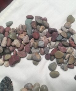 DANCING BEAR Rock, Mineral & Geodes Treasure Hunt Activity Kit (200 Pc Set) Real Shark Teeth Fossils, ID Sheet & Rock Book, STEM Rock, Mineral & Geodes Collection 69 71vigROEgL