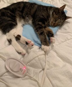 Sunbeam Heating Pad for Pain Relief | Standard Size Ultra Heat, 3 Heat Settings | Light Blue, 12 Inch x 15 Inch UltraHeat, 12 x 15 43 71vmi0lmGJL