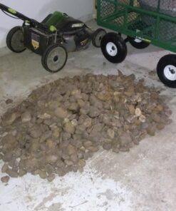 6 Pairs Women Gardening Gloves with Micro-Foam Coating - Garden Gloves Texture Grip - Working Gloves For Weeding, Digging, Raking and Pruning, Medium, Assorted color Medium (Pair of 6) Women's 29 71vndfZtPhL