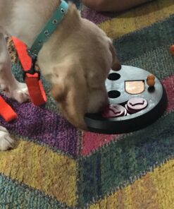 TRIXIE Flip Board Strategy Game, Intermediate Dog Puzzle Toy, Level 2 Activity, Treat Puzzle, Interactive Play, Enrichment Level 2 (Intermediate) 26 71vo1hySmML