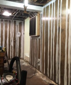 Pro Grade - Paint Brushes - 5 Ea - Paint Brush Set 58 71voFj8dOxL