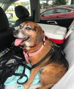 Vastar 2 Packs Adjustable Pet Dog Cat Car Seat Belt Safety Leash Vehicle Seatbelt Harness Black 29 71voaHBgToL