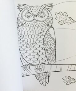 Home Harvest 37 71vpreIVcLL