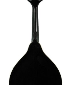 Alternative view of Rogue RM-100A A-Style Mandolin Black