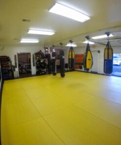 Lasko High Velocity Max Performance Floor Fan with Wall mount Option, 3 Powerful Speeds, Pivoting Fan Head for Home, Garage, Attic, 20", Black, 2265QM 45 71vvy3oKxaL