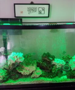 Finnex Planted 24/7 Fully Automated Aquarium LED, 36-Inch Not Controllable 36 Inch 38 71vwNfwnQjL