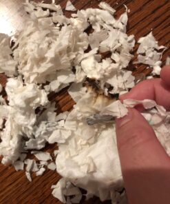 Kaytee Clean & Cozy White Small Animal Bedding 85 Liters 44 71vwvyLzfrL 1