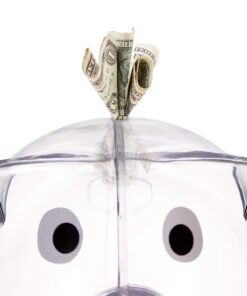 Windy City Novelties Small Educational Kids Clear Plastic Piggy Banks 27 71vxGLahxiL