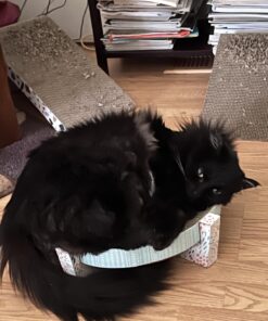 Catstages Scratch, Snuggle & Rest Corrugated Cat Scratcher With Catnip (packaging may vary) Scratch Snuggle & Rest 32 71vy02iYL