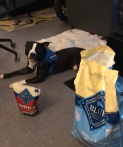 Blue Buffalo Dog Food for Puppies, Life Protection Formula, Natural Chicken & Brown Rice Flavor, Puppy Dry Dog Food, 15 lb Bag 15.00 Pound (Pack of 1) 33 71vy3XG9R L 2