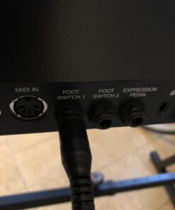 M-Audio SP-2 - Universal Sustain Pedal with Piano Style Action For MIDI Keyboards, Digital Pianos & More 49 71vyFmpHEeL 3