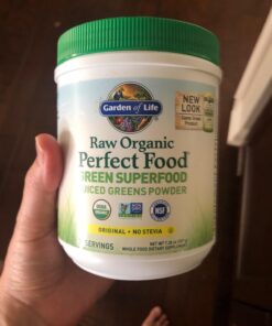 Garden of Life Raw Organic Perfect Food Green Superfood Juiced Greens Powder - Original Stevia-Free, 30 Servings, Non-GMO, Gluten Free Whole Food Dietary Supplement, Alkalize, Detoxify, Energize 30 Servings (Pack of 1) 31 71vyZt BZ L