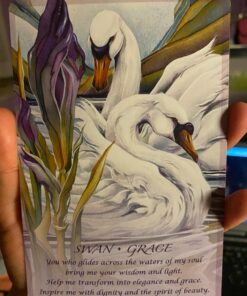 Spirit of the Animals Oracle 75 71vzOop2vcL