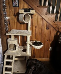 Go Pet Club Classic Cat Tree, Faux Fur Finish, Sisal Rope Scratcher, 62"H, Beige 48 71w vhdZBKL