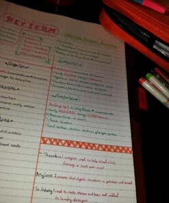 Five Star Loose Leaf Paper + Study App, Notebook Paper, College Ruled Filler Paper, Reinforced, 8.5 x 11, 100 Sheets (17010) 1 Pack 19 71w2HTTUsSL