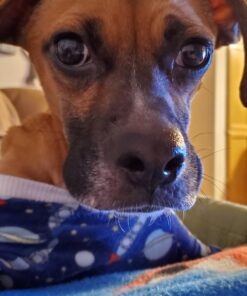 Knox Unflavored Gelatin Duel Pack (2 ct Pack, 16 oz Canisters) 1 Pound (Pack of 2) 33 71w74u2CcXL