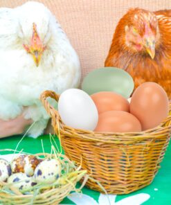 SallyFashion 7 Pcs Wooden Fake Eggs, 3 Colors Wooden Easter Egg Wood Eggs for Crafts Fake Chicken Eggs Nesting Eggs Easter Home Decor 27 71w8VGBWBTL