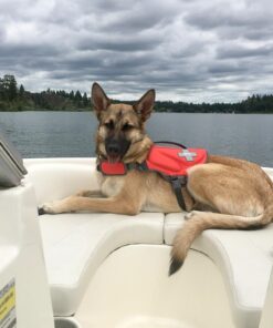 Dremel 8220-1/28 12-Volt Max Cordless Rotary Tool Kit- Engraver, Sander, and Polisher- Perfect for Cutting, Wood Carving, Engraving, Polishing, and Detail Sanding- 1 Attachment & 28 Accessories 29 Piece Kit 40 71wDBKKr9vL 2