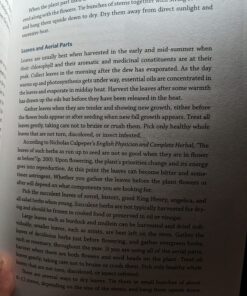 The Modern Herbal Dispensatory: A Medicine-Making Guide 49 71wECv7bwgL