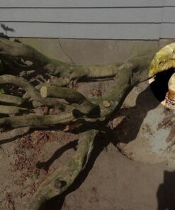 Sportsman Pocket Chainsaw 36 Inch Long Chain With Fire Starter Best Compact Folding Hand Saw Tool for Survival Gear, Camping, Hunting, Tree Cutting or Emergency Kit. Replaces Your Pruning & Pole Saw 67 71wHbPcYCrL