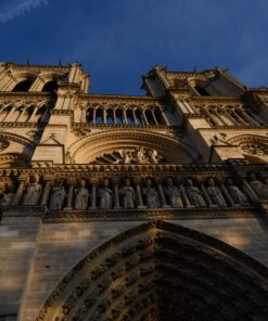 Nikon Z7 FX-Format Mirrorless Camera Body w/ NIKKOR Z 24-70mm f/4 S w/ 24-70mm Base 41 71wIvRpjtSL