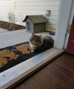 K&H Pet Products Outdoor Heated Kitty House - Heated Cat House Cat Shelter Olive/Olive 19 X 22 X 17 Inches 54 71wKcoLdhXL