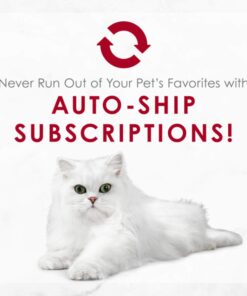 Purina Fancy Feast Wet Cat Food Medleys - (24) 3 oz. Cans Salmon Primavera in Sauce 3.00 Ounce (Pack of 24) 23 71wLHEAottL