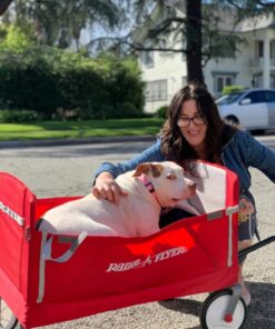 Radio Flyer 3-in-1 EZ Folding Wagon Ride On For Kids, Garden, & Cargo, Red Collapsible Wagon Base 72 71wNUSlpZ L