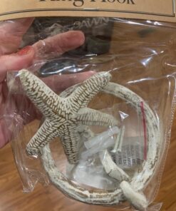 Park Designs Starfish Ring Hook 25 71wOAPlJJL