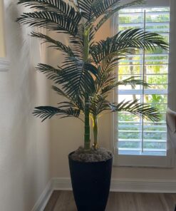 Nearly Natural 5289 6.5ft. Golden Cane Palm Silk Tree,Green 36 71wPdOpkFxL