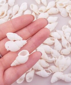 PandaHall Elite About 130-150 Pcs Tiny Sea Shell Ocean Beach Spiral Seashells Craft Charms Length 19-21mm Candle Making, Home Decoration, Beach Theme Party Wedding Decor, Fish Tank Vase Fille 130pcs 11 71wQ3piTplL