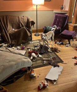 EBPP Stop the Chew 3X Strength Anti Chew Spray for Dogs - No Chew Spray for Puppies - Alcohol Free Dog Deterrent Spray - Bitter Spray for Dogs to Stop Chewing - Powerful No Chew Spray for Dogs - 8oz 45 71wQQIiIaZL