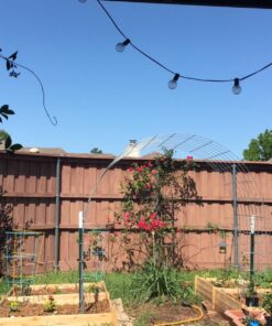 Greenes Fence Best Value Cedar Raised Garden Bed, 4' x 8' x 10.5" - Made in USA with North American Cedar 48" W x 96" L x 10.5" H 31 71wREGf7kQL