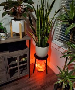 Black Tai Himalayan Salt Lamp 40-50 Lbs Extra Large with FREE CORD! 35 71wTVdiNDfL