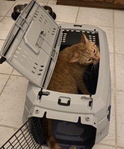 Amazon Basics - 2-Door Top-Load Hard-Sided Dogs, Cats Pet Travel Carrier, Gray & Blue, 22.8"L x 15.0"W x 13.0"H Two-Door Top-Load 67 71wY9GLeJBL 1