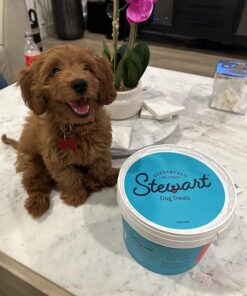 Stewart Freeze Dried Dog Treats, Beef Liver, Salmon, Chicken Liver & Chicken Breast, 3 oz, 4 oz, 12 oz, 14 oz, 21 oz, Resealable Tub, Grain Free & Gluten Free, Single Ingredient, Dog Training Treats 1.31 Pound (Pack of 1) 40 71waVpMfOrL