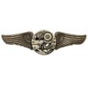 Steampunk Antique Gold Gear Wings Costume Cosplay Pin